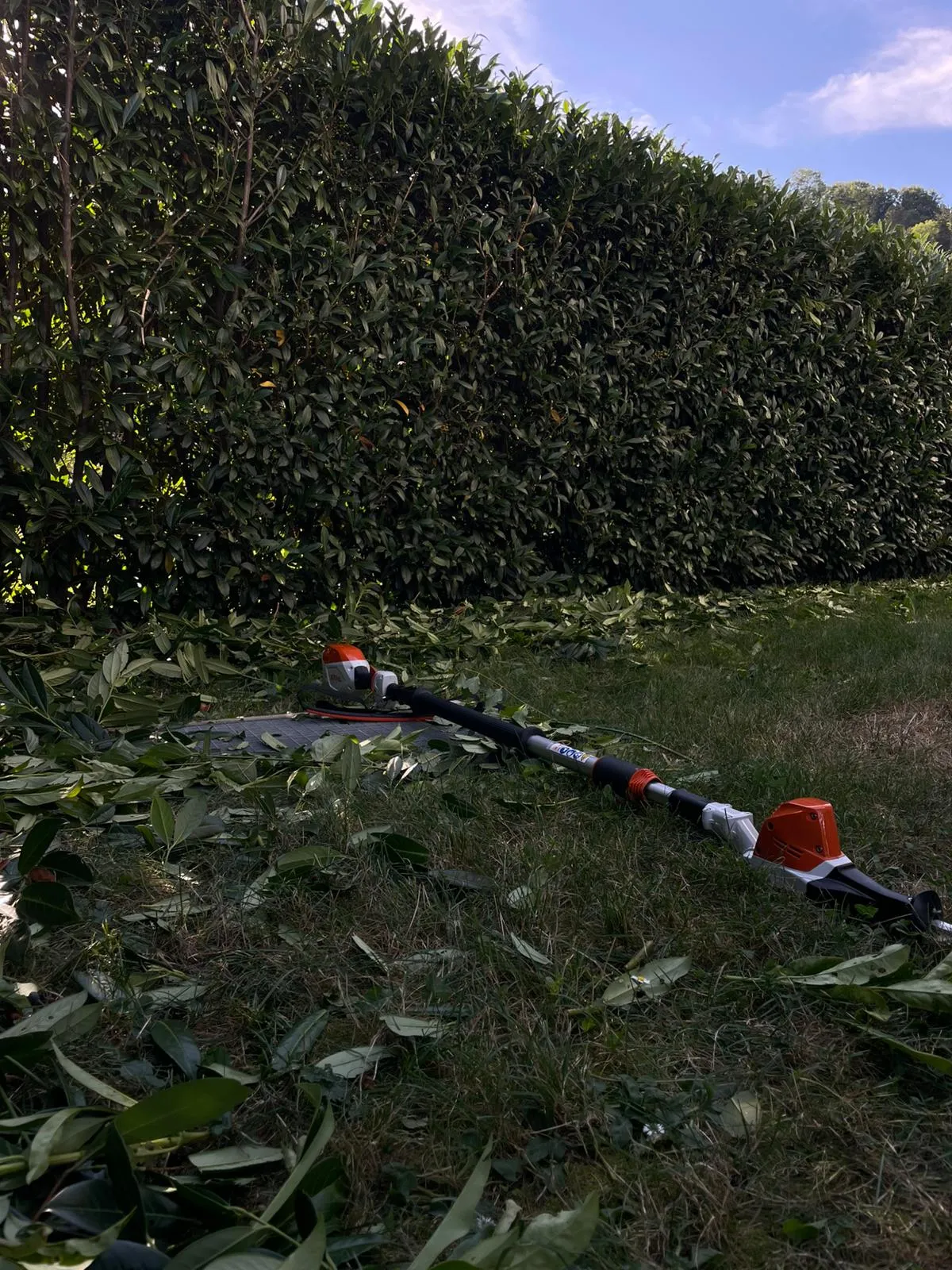 Hecke